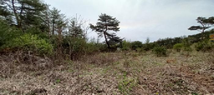 경기 포천시 영북면 답 경매 물건 사진 5 · 2025타경72063