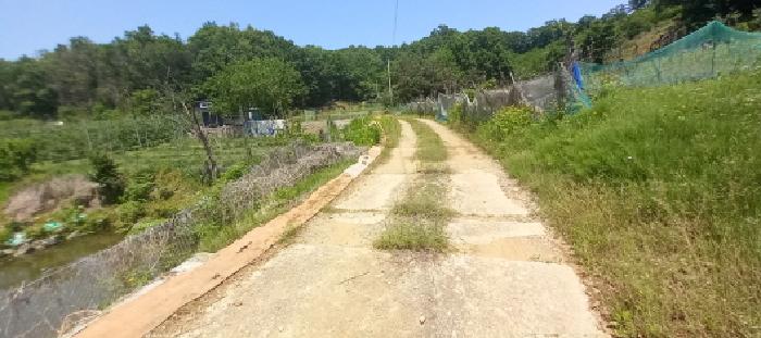 경기 연천군 미산면 전 경매 물건 사진 3 · 2025타경72211