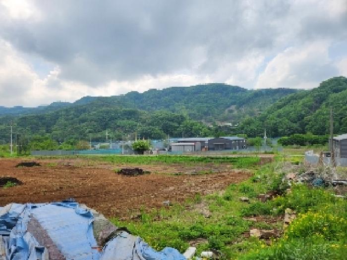 경기 연천군 전곡읍 대지,임야,전답 경매 물건 사진 4 · 2025타경72240