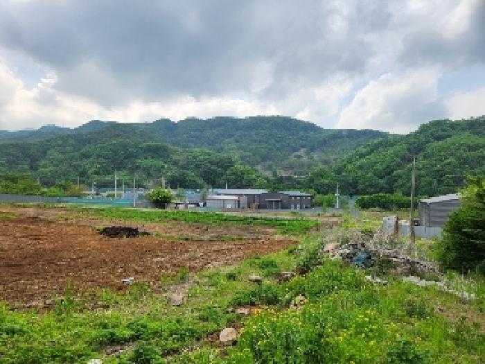 경기 연천군 전곡읍 대지,임야,전답 경매 물건 사진 5 · 2025타경72240