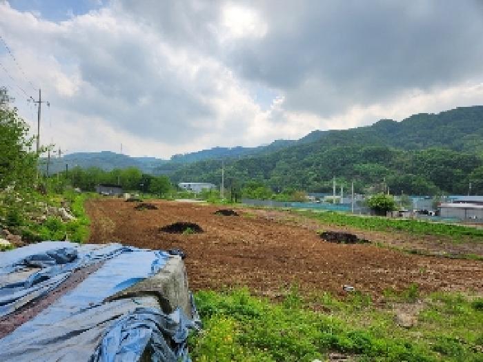 경기 연천군 전곡읍 대지,임야,전답 경매 물건 사진 6 · 2025타경72240