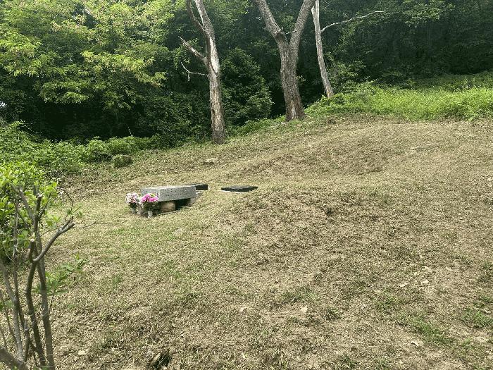경기 포천시 군내면 전 경매 물건 사진