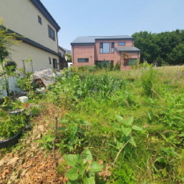 경기 양주시 광사동 대지 경매 물건 사진 3 · 2025타경72473