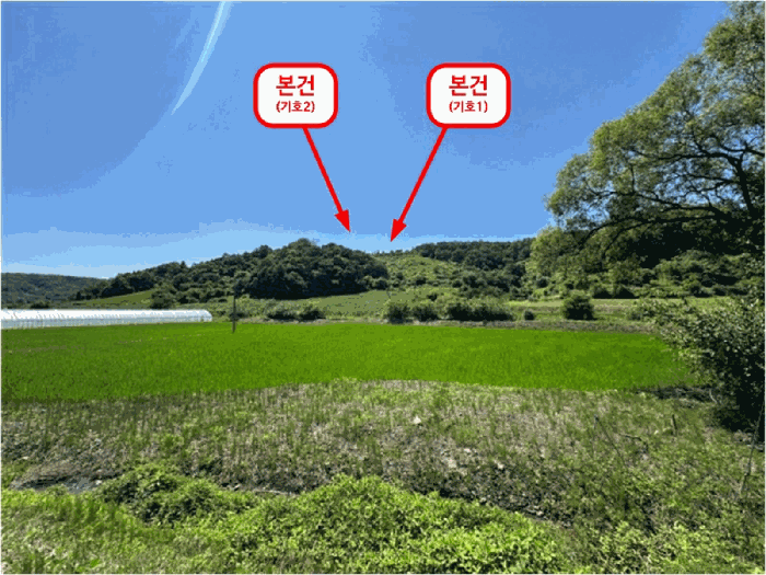 경기 연천군 백학면 임야 경매 물건 사진 6 · 2025타경72536