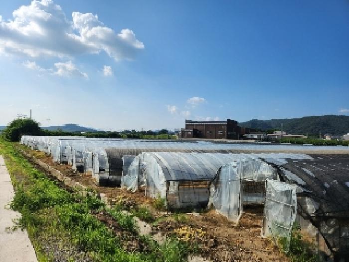 경기 양주시 봉양동 전 경매 물건 사진