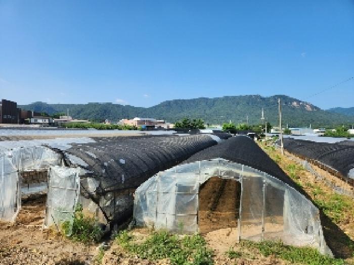경기 양주시 봉양동 전 경매 물건 사진 4 · 2025타경72560