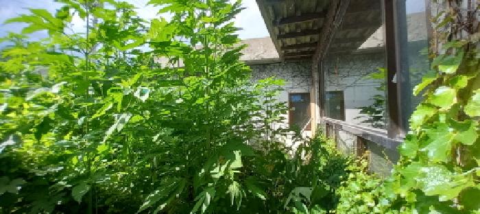 경기 포천시 이동면 대지 경매 물건 사진 3 · 2025타경72575