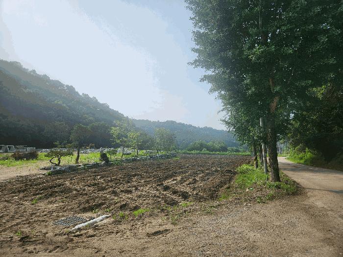 경기 양주시 백석읍 전 경매 물건 사진 6 · 2025타경72612