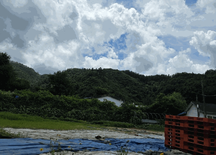 경기 포천시 영북면 임야 경매 물건 사진 5 · 2025타경72704