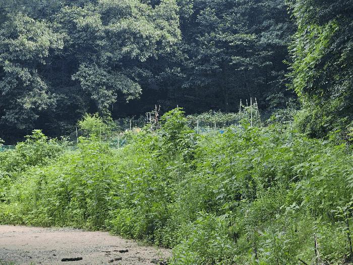 경기 의정부시 낙양동 전 경매 물건 사진