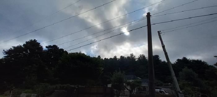 경기 포천시 내촌면 임야 경매 물건 사진