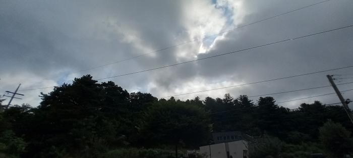 경기 포천시 내촌면 임야 경매 물건 사진 2 · 2025타경72924