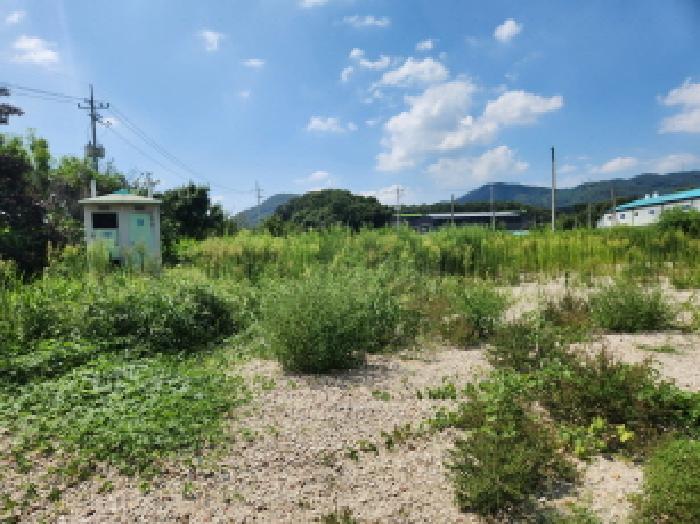 경기 양주시 남면 전 경매 물건 사진