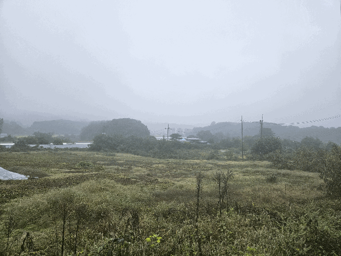경기도 포천시 신북면 계류리 306-13 전 경매 물건 사진