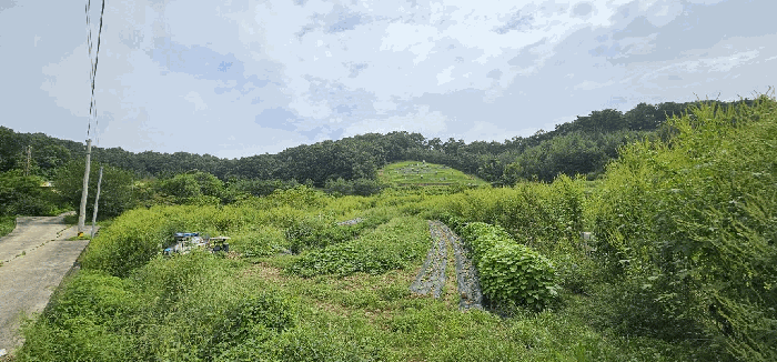 경기도 연천군 백학면 노곡리 299-2 전 경매 물건 사진