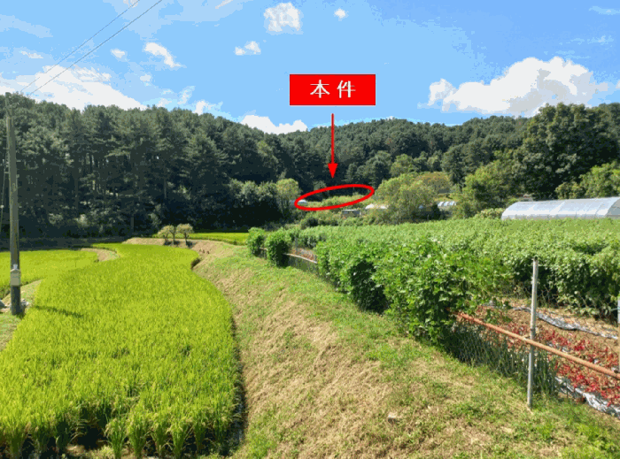 경기도 포천시 신북면 갈월리 486 대지 경매 물건 사진
