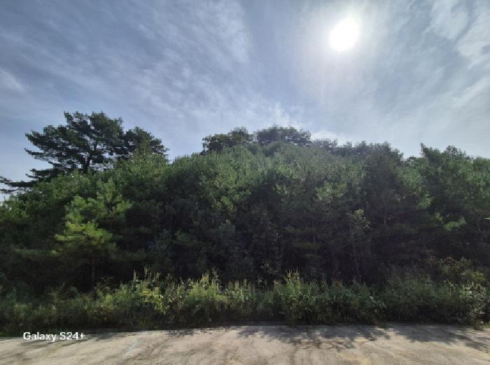 강원 철원군 갈말읍 공장/지식산업센터 경매 물건 사진