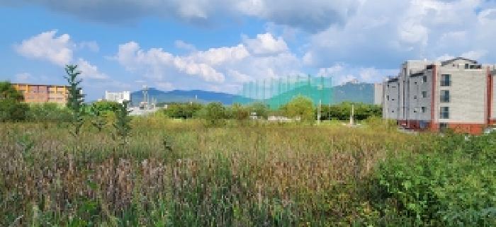 경기 양주시 백석읍 답 경매 물건 사진 4 · 2025타경73218