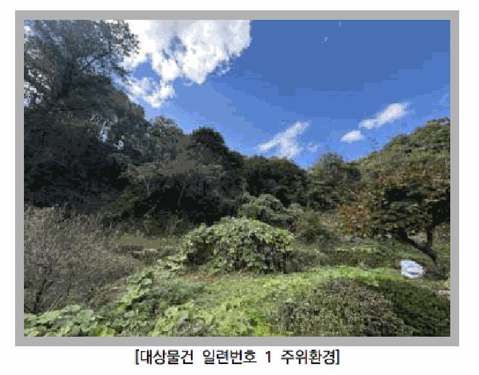 경기 포천시 영중면 임야 경매 물건 사진