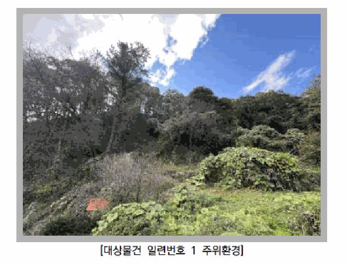 경기 포천시 영중면 임야 경매 물건 사진 4 · 2025타경73311