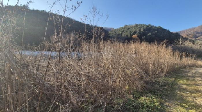 경기 포천시 관인면 도로 경매 물건 사진