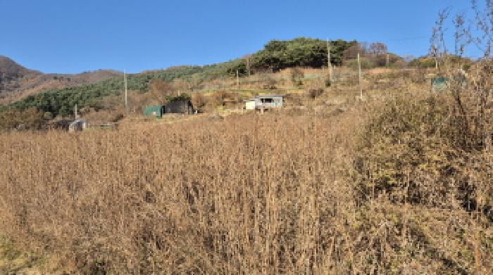 경기 포천시 관인면 도로 경매 물건 사진 3 · 2025타경73312
