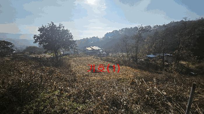 경기 포천시 신북면 전 경매 물건 사진