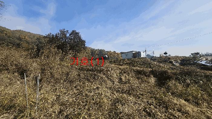 경기 포천시 신북면 전 경매 물건 사진 4 · 2025타경73454