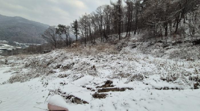 경기 포천시 내촌면 전답 경매 물건 사진 5 · 2025타경73624