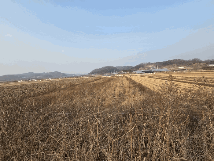 경기 연천군 백학면 답 경매 물건 사진 6 · 2025타경73625