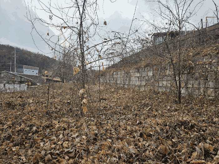 경기 양주시 은현면 임야 경매 물건 사진 4 · 2025타경73646