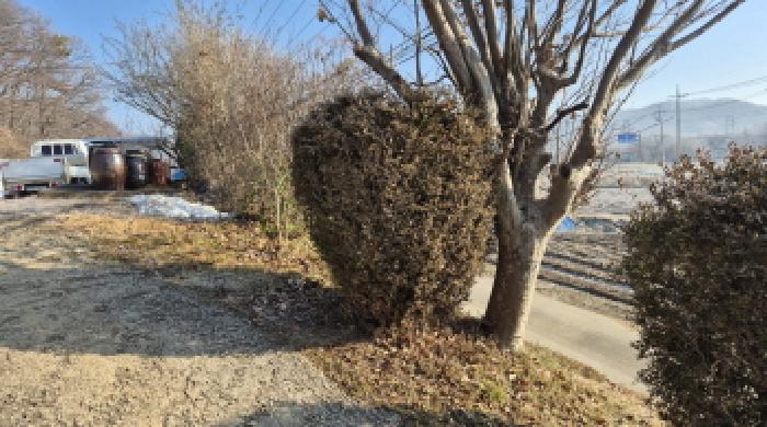경기 연천군 백학면 대지 경매 물건 사진 3 · 2025타경73713