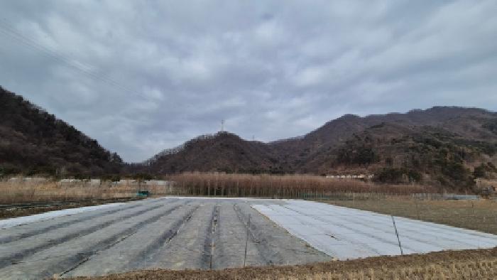 경기 포천시 신북면 전답 경매 물건 사진