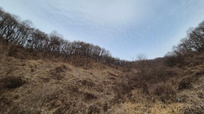 경기 연천군 군남면 임야 경매 물건 사진