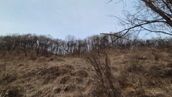 경기 연천군 군남면 임야 경매 물건 사진 3 · 2025타경73885