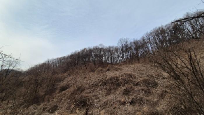 경기 연천군 군남면 임야 경매 물건 사진 4 · 2025타경73885