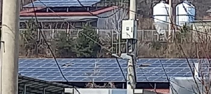 강원 철원군 철원읍 동물및식물관련시설 경매 물건 사진 5 · 2025타경849