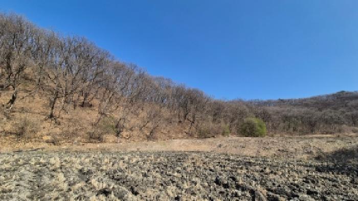 경기 연천군 신서면 임야 경매 물건 사진 3 · 2026타경141