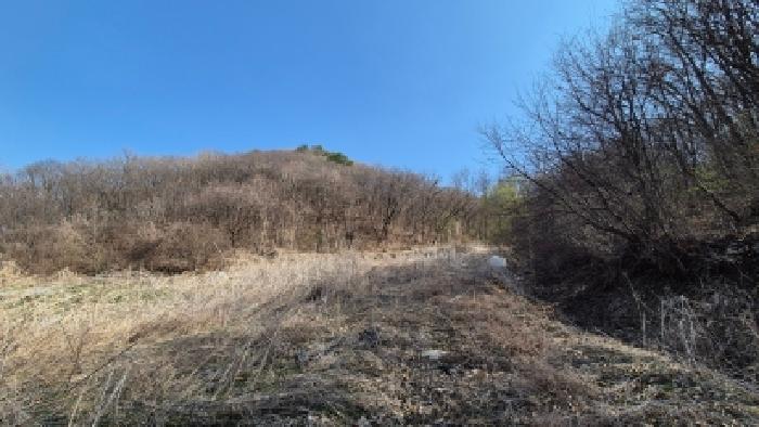 경기 연천군 신서면 임야 경매 물건 사진 5 · 2026타경141