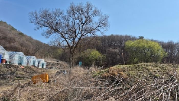 경기 연천군 신서면 임야 경매 물건 사진 6 · 2026타경141