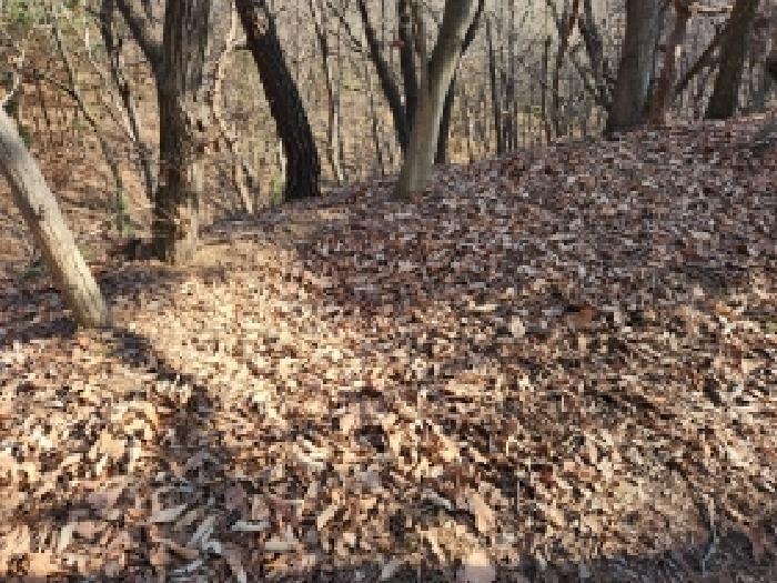 경기 양주시 남면 임야 경매 물건 사진 4 · 2026타경16