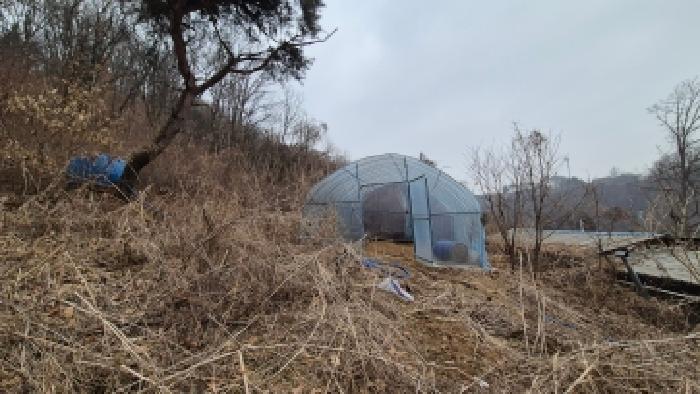 경기 연천군 군남면 임야 경매 물건 사진 3 · 2026타경23