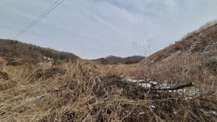 경기 연천군 미산면 전 경매 물건 사진 5 · 2026타경70116