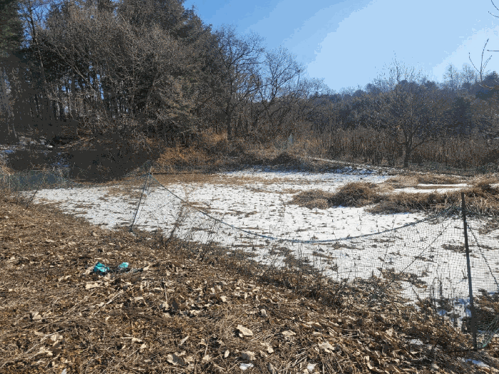 경기 연천군 연천읍 임야 경매 물건 사진 6 · 2026타경70135