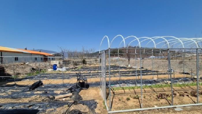 경기 포천시 군내면 상가,오피스텔,근린시설 경매 물건 사진 5 · 2026타경70155