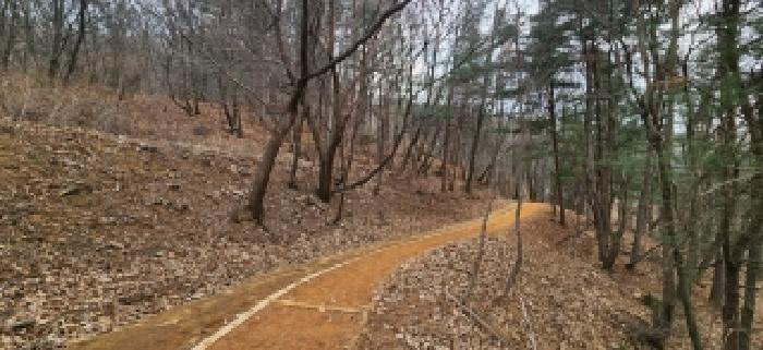 경기 양주시 백석읍 임야 경매 물건 사진