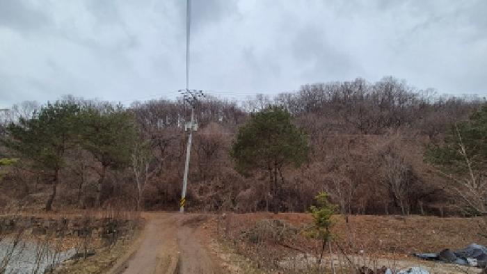 경기 연천군 신서면 임야 경매 물건 사진