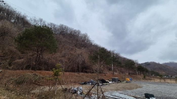 경기 연천군 신서면 임야 경매 물건 사진 2 · 2026타경70466