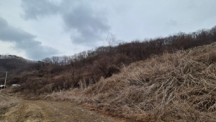 경기 연천군 신서면 임야 경매 물건 사진 3 · 2026타경70466