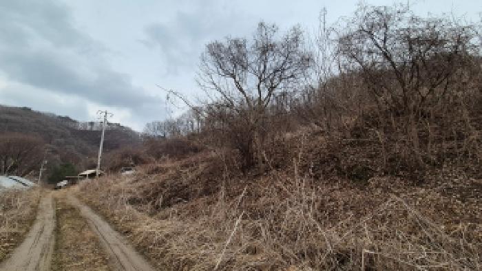 경기 연천군 신서면 임야 경매 물건 사진 4 · 2026타경70466